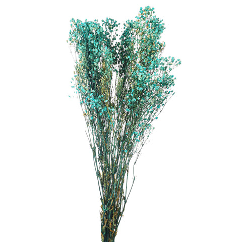 preserved gypsophila flower arrangement