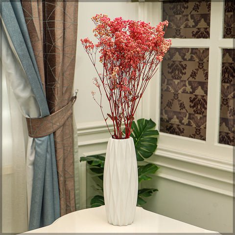 Natural Dried Gypsophila Flowers(without vase)