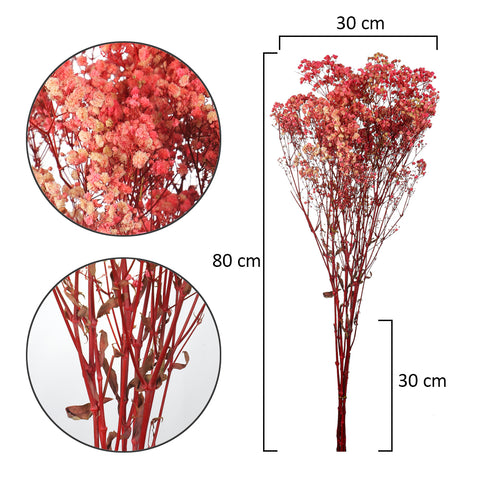 Natural Dried Gypsophila Flowers(without vase)