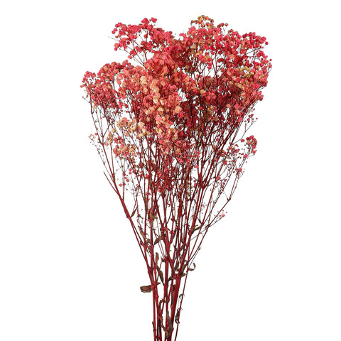 Natural Dried Gypsophila Flowers(without vase)