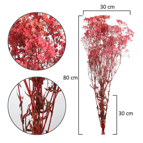 Natural Dried Gypsophila Flowers(without vase)