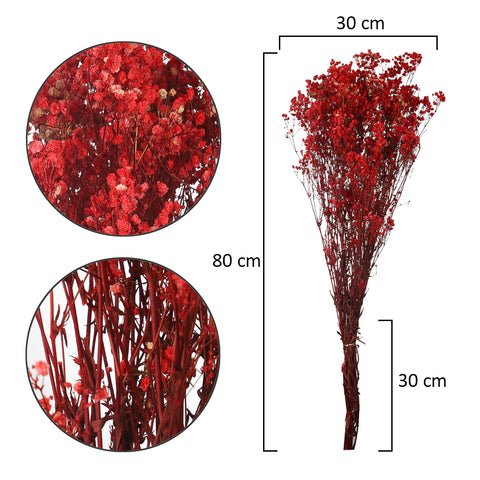 Natural Dried Gypsophila Flowers(without vase)