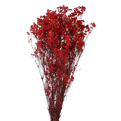 dried gypsophila for rustic decor