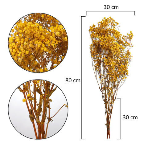 floral filler gypsophila stems
