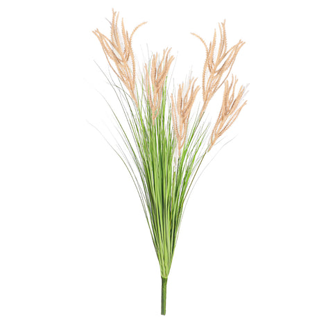 Dried look grass stem