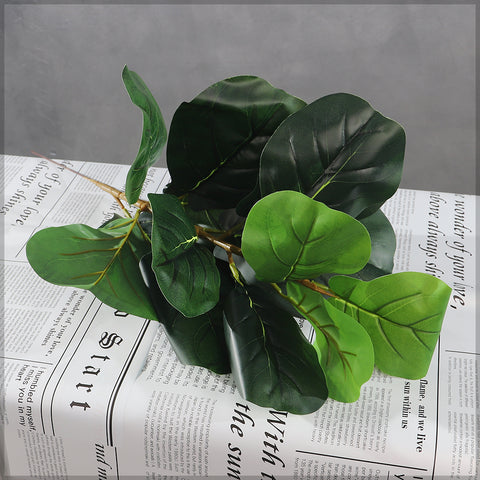 Decorative plant