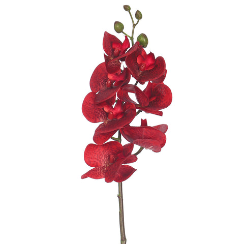 Artificial Real Touch Mini Orchids Flowers
