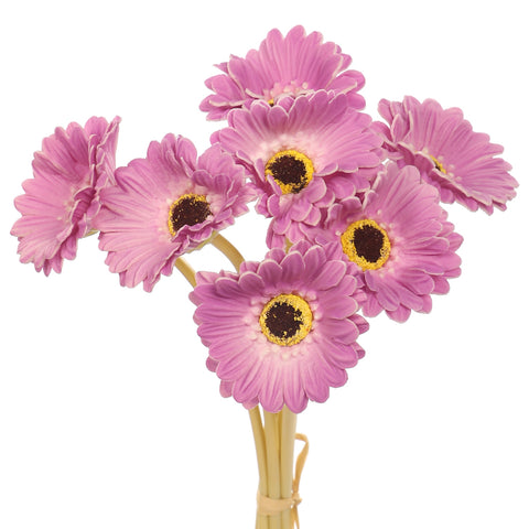 7 Heads Artificial Daisy Flowers with Stems