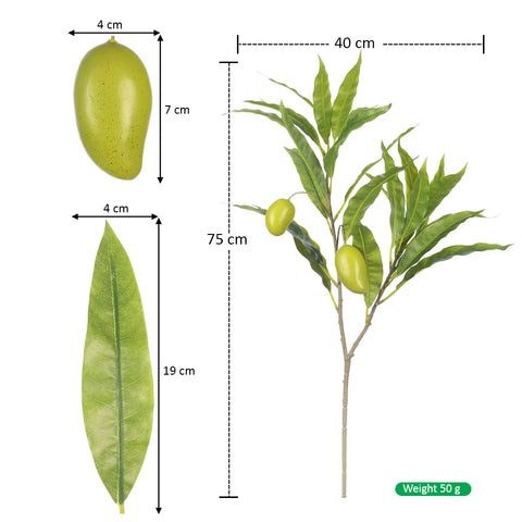 Decorative Mango Stems