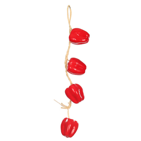 plastic hanging vegetable