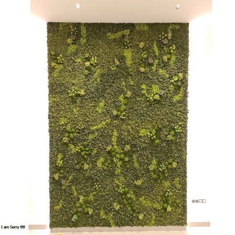 preserved moss wall decor for office