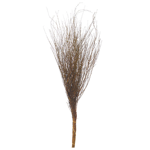 Decorative Dried Snow Grass(without vase)