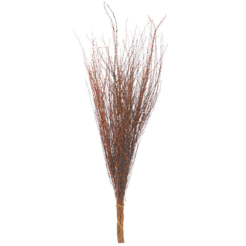 Decorative Dried Snow Grass(without vase)