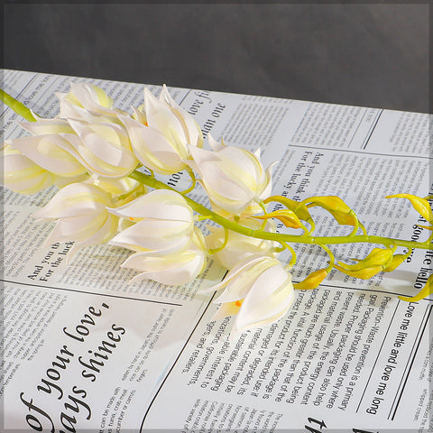 yucca plant stem
