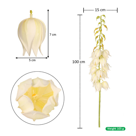 yucca flower stem