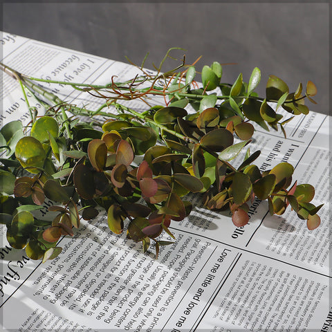 Decorative eucalyptus stem