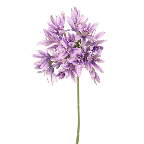 Artificial Agapanthus Flower Stem