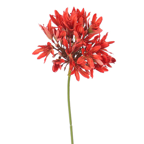 Artificial Agapanthus Flower Stem
