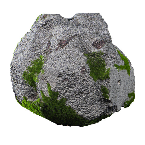 green moss and stone