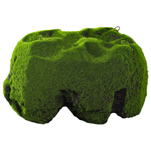 moss covered rocks