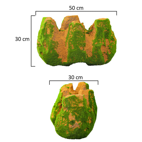 decorative green moss