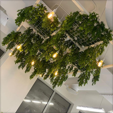 Green ceiling design