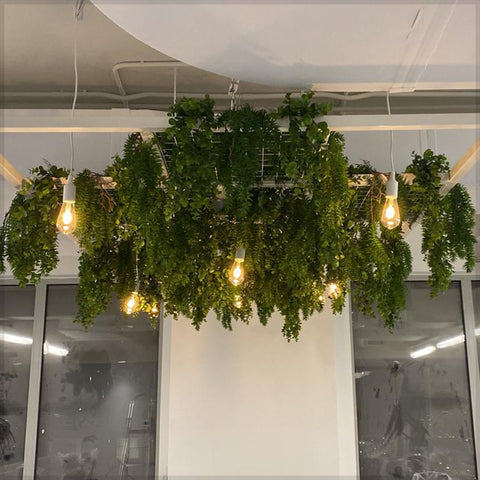 Indoor green ceiling