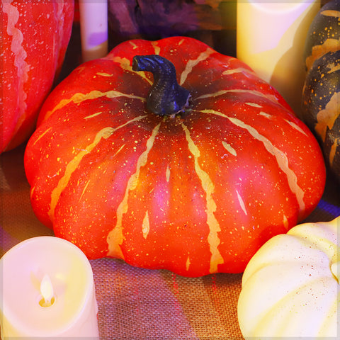 Vibrant Pumpkin For Fall Decoration
