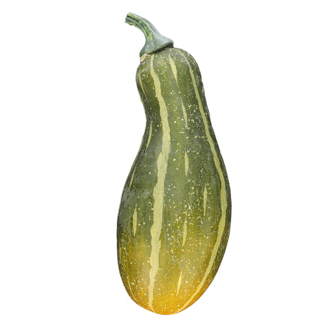 Faux Delicata Squash