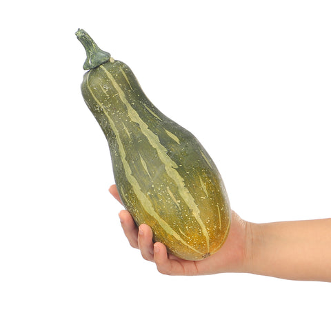Faux Delicata Squash