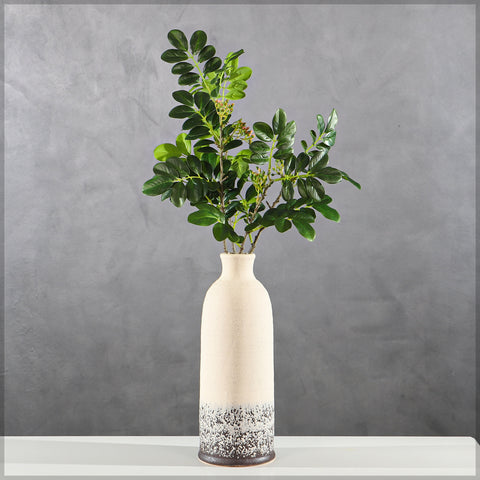 Decorative plant leaves