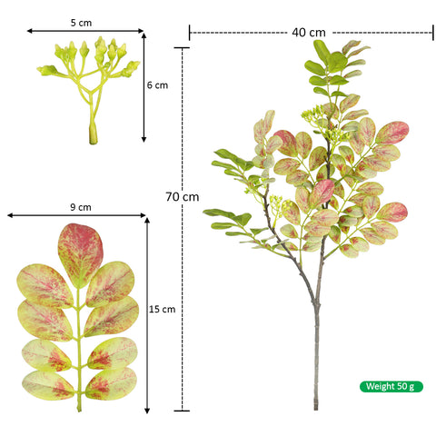 Green plant leaves