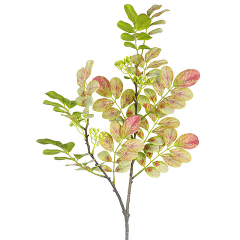 Artificial sophora tree leaves