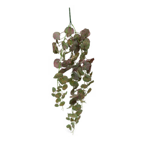 Fake Leaf Geranium Hanging Single Bush Plant