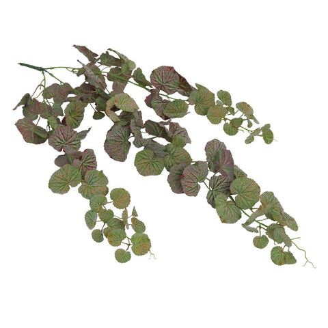 Fake Leaf Geranium Hanging Single Bush Plant