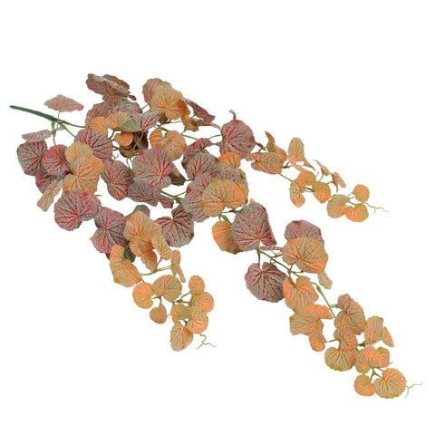 Hanging vine plant
