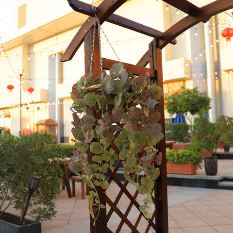 Fake Leaf Geranium Hanging Single Bush Plant
