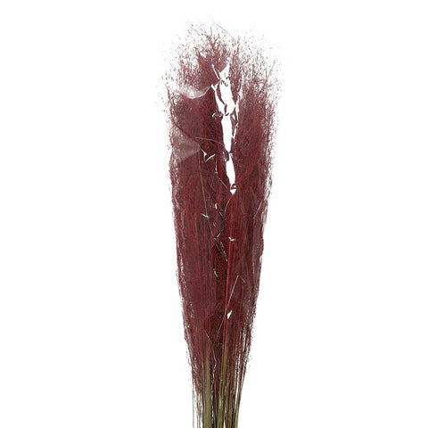 Preserved dried grass stems