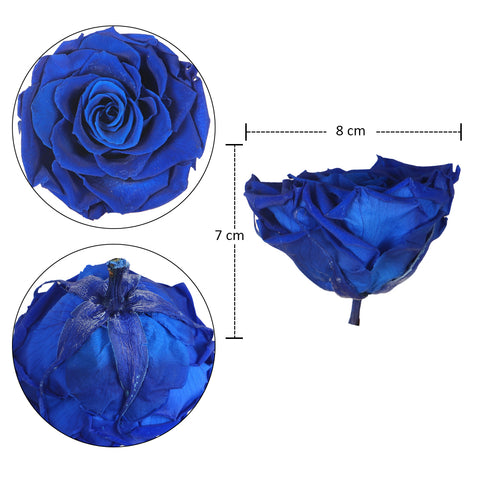 Preserved Flowers for Home Decor