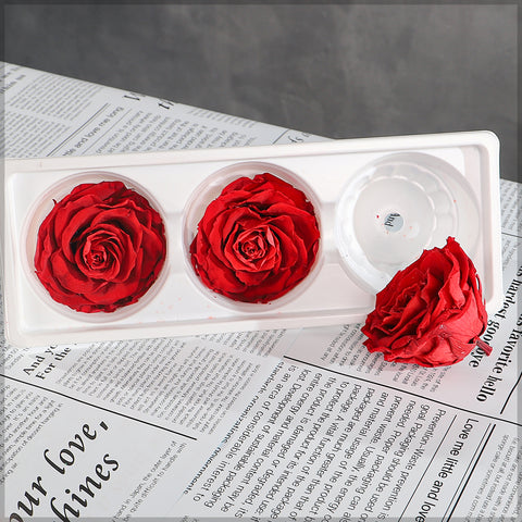 Preserved Rose for Decoration