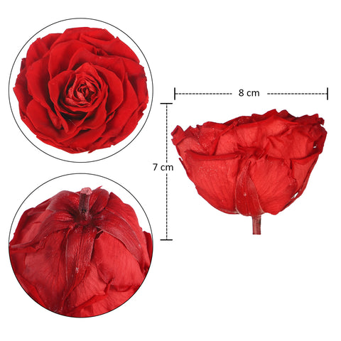 Real Preserved Rose