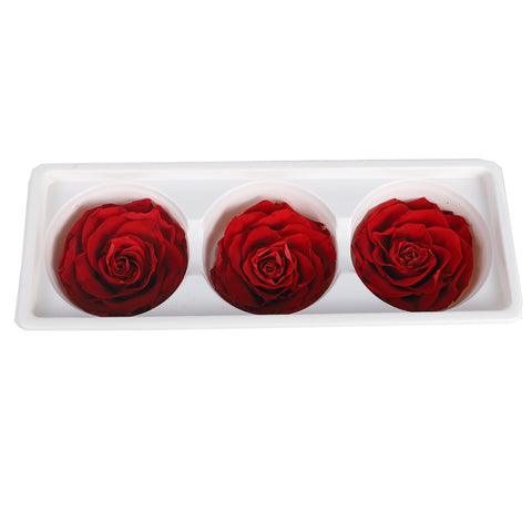Dried Rose Flowers