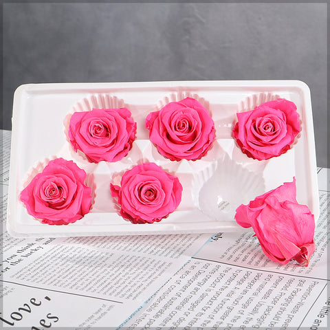 Preserved Rose for Decoration
