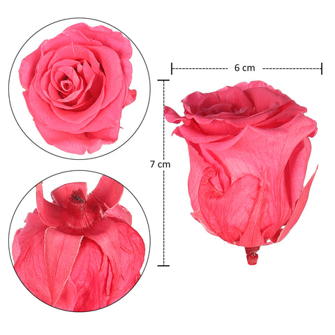 Real Preserved Rose