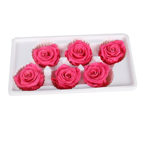 Eternal Rose