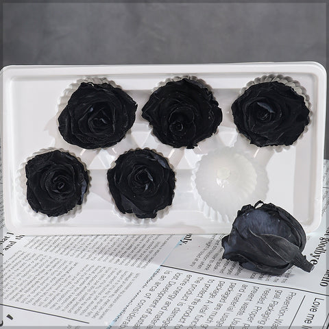 6 Pieces Preserved Rose Flower