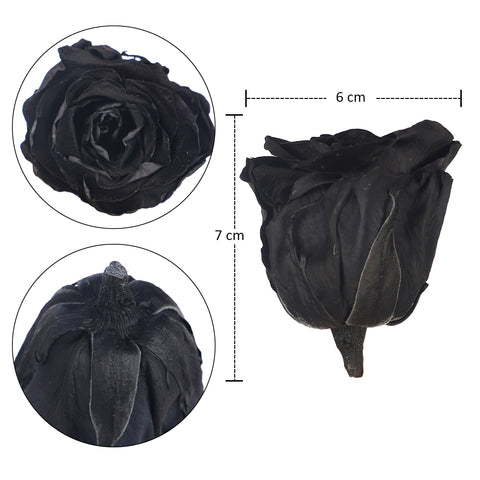 6 Pieces Preserved Rose Flower