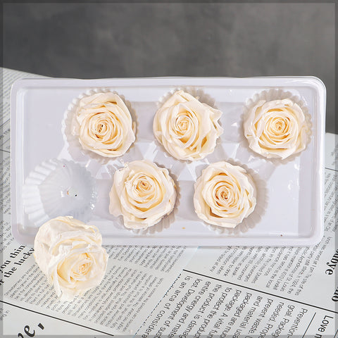 6 Pieces Preserved Rose Flower