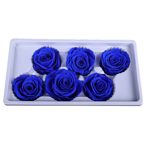 6 Pieces Preserved Rose Flower