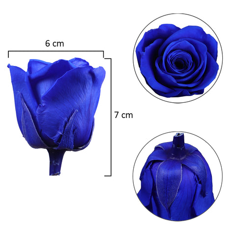 6 Pieces Preserved Rose Flower